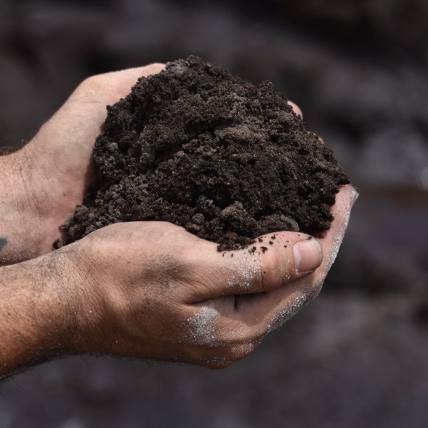 Fill Clay - The Black Dirt Company