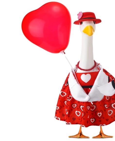 Valentines Goose Outfit with Balloon