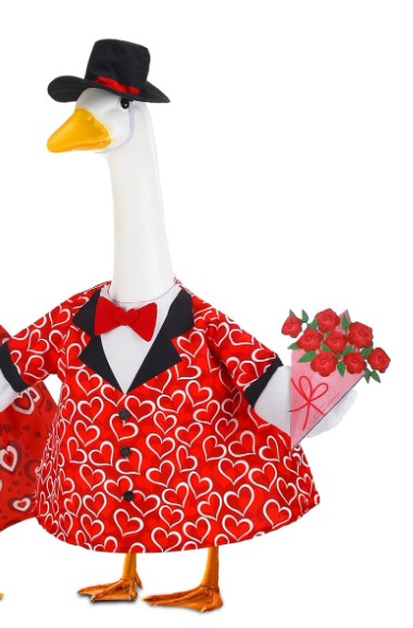 Male Valentines Goose Outfit with Flowers